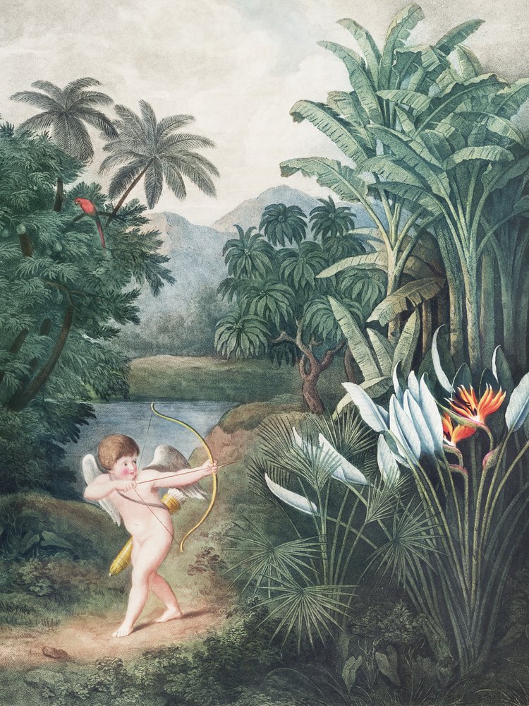« Cupidon inspirant les plantes par l