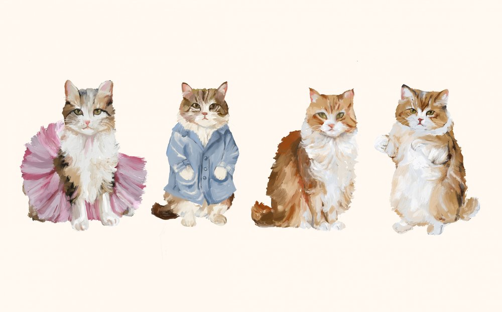 Des chats adorables en costume - Josie George