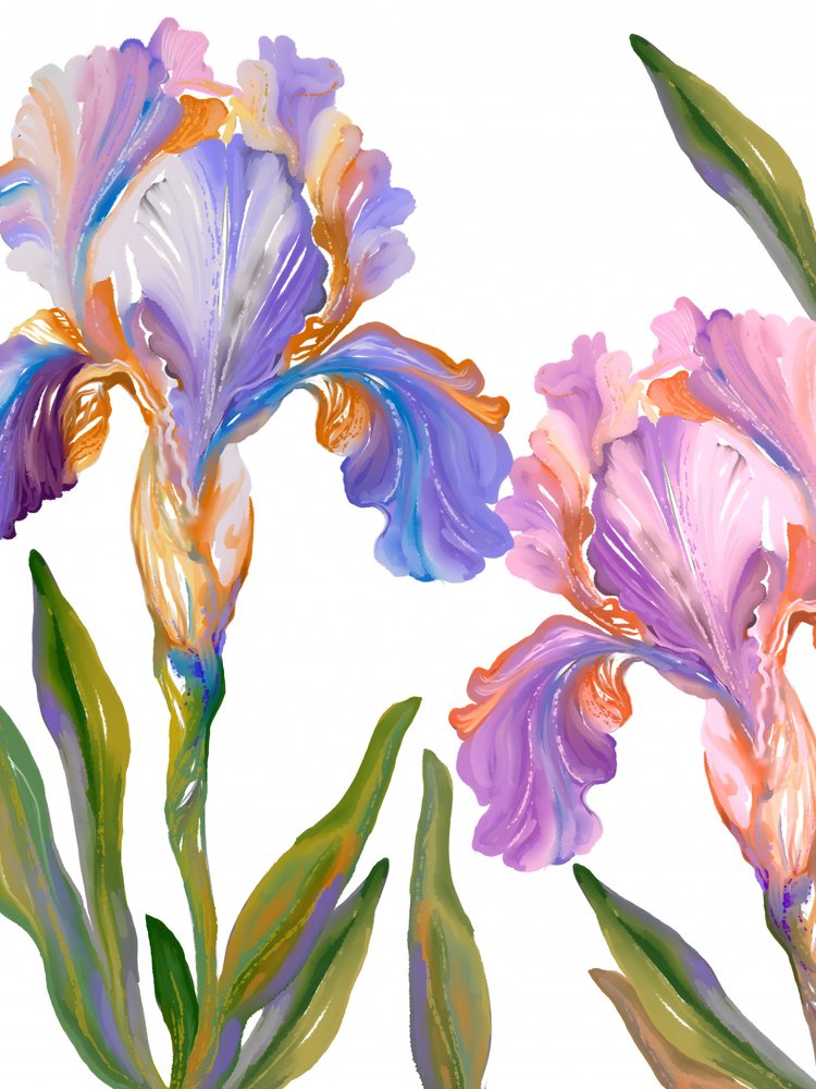 Des iris aux couleurs chatoyantes - Josie George