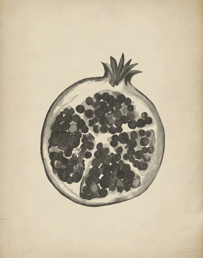 Grenade coupée - Josie George