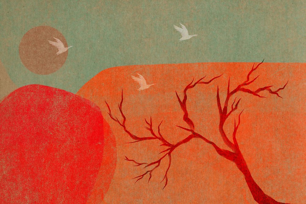 Oiseaux au coucher du soleil dans le désert - Josie George