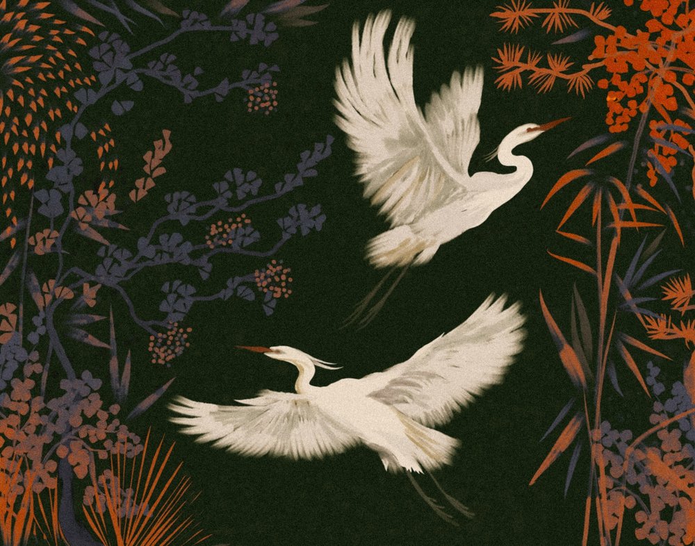 Le vol des aigrettes élégantes - Josie George