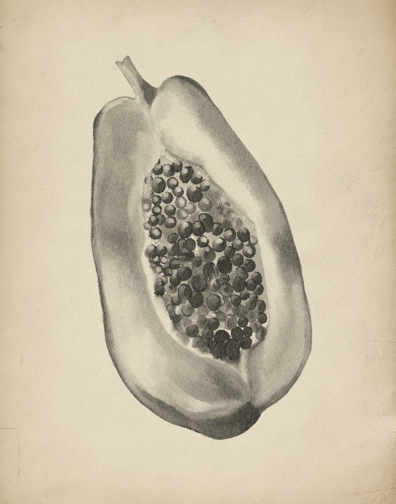 Demi-papaye tropicale - Josie George