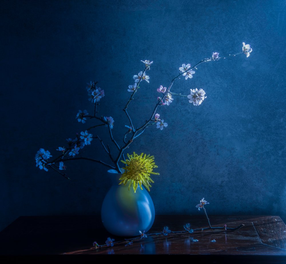 Fleurs bleues et vase - Judy Tseng