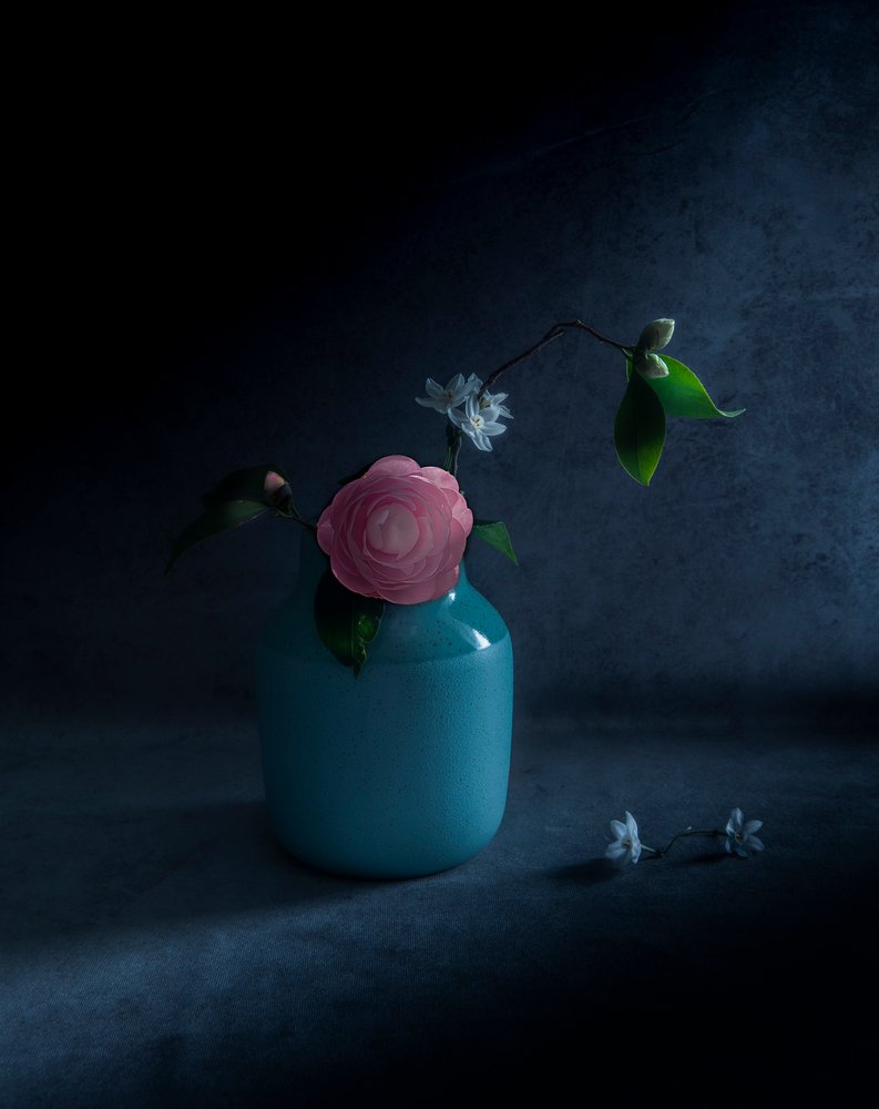Fleur rose mélancolique - Judy Tseng
