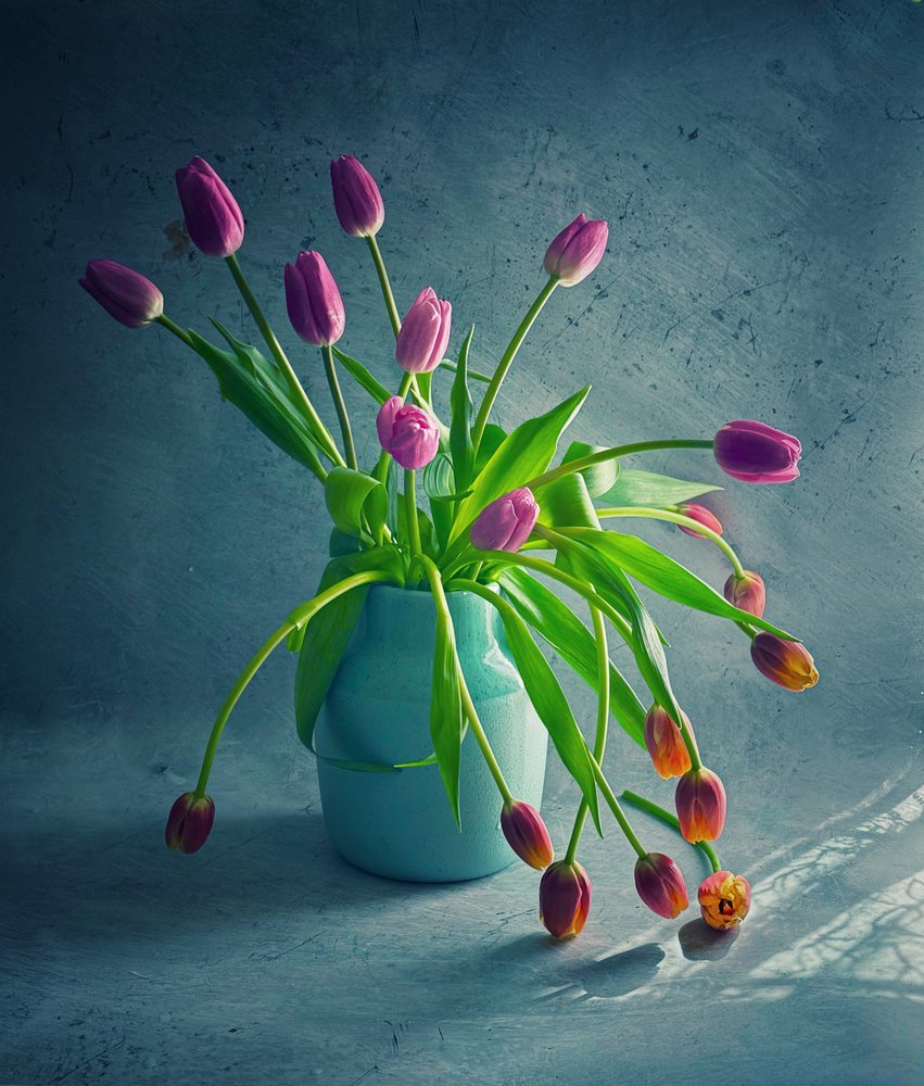 Tulipes retombantes aux couleurs vives - Judy Tseng