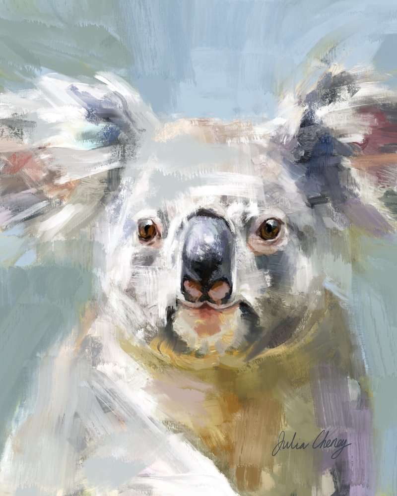 Le regard doux du koala - Julia Cheney
