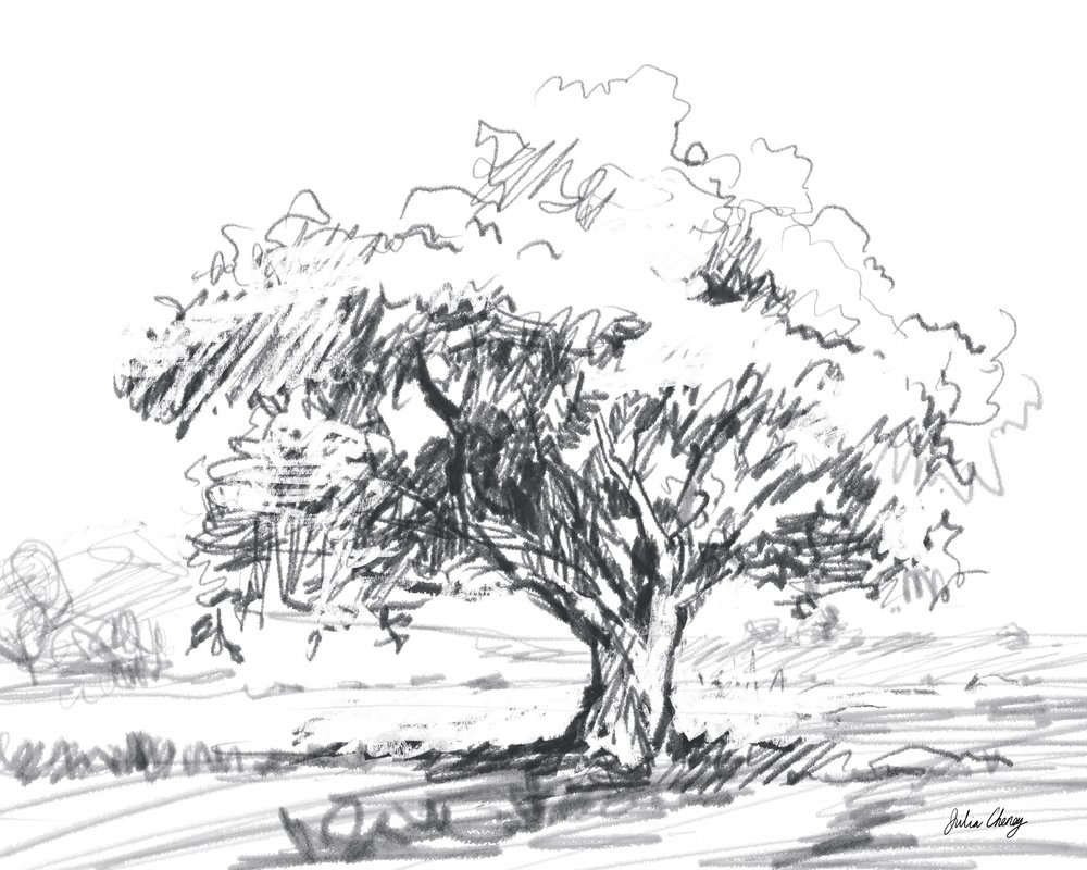 Dessin d