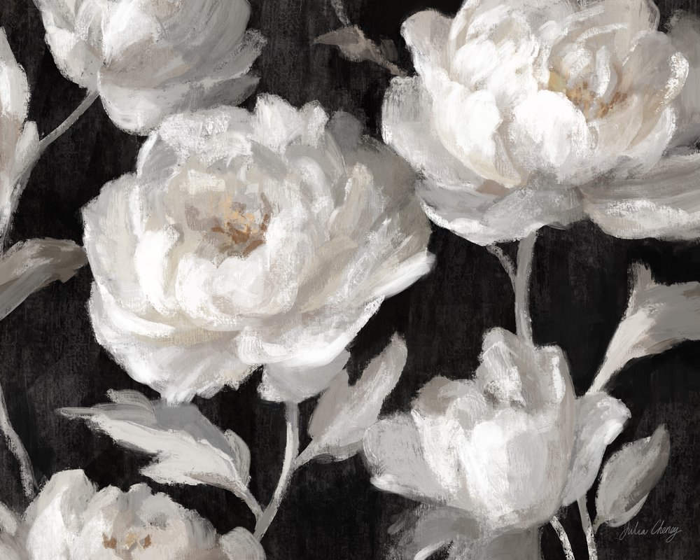 Pivoines blanches sur fond noir – Julia Cheney - Julia Cheney