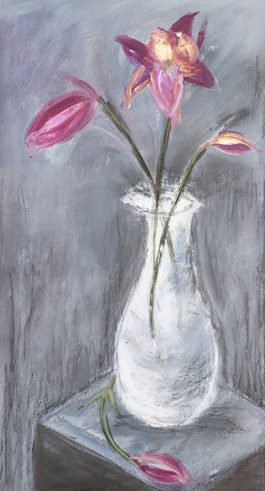 - Julia Contacessi