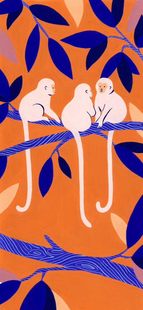 Singes arboricoles colorés - Julie Lesouef