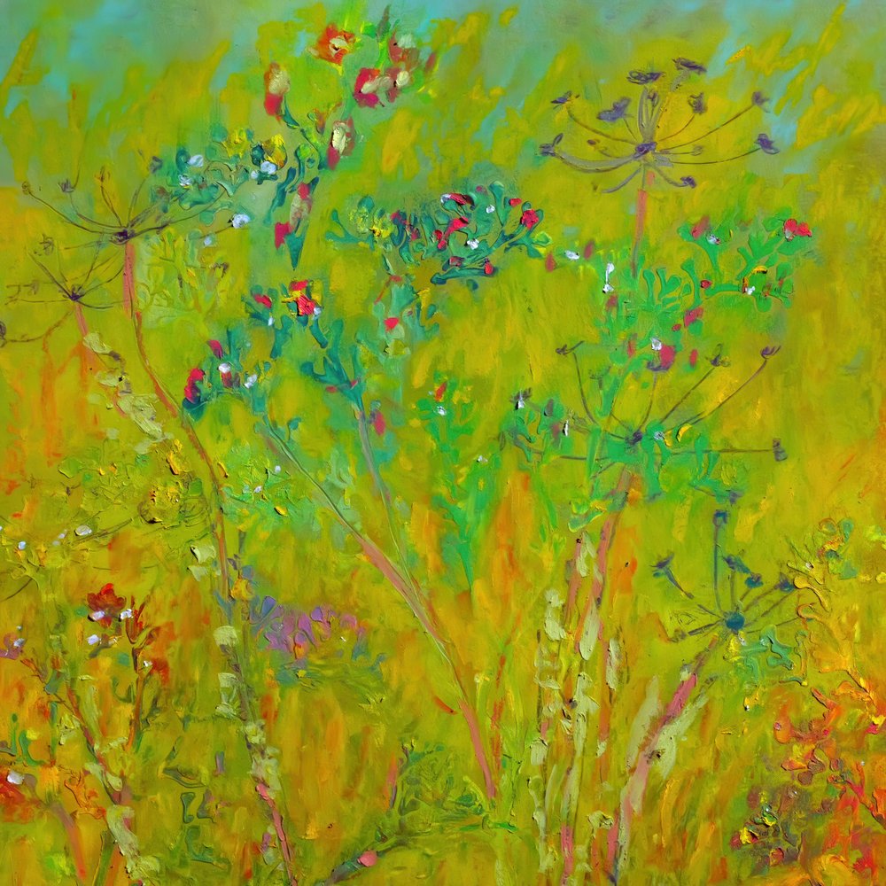 Champ coloré de fleurs sauvages - Justyna Jaszke