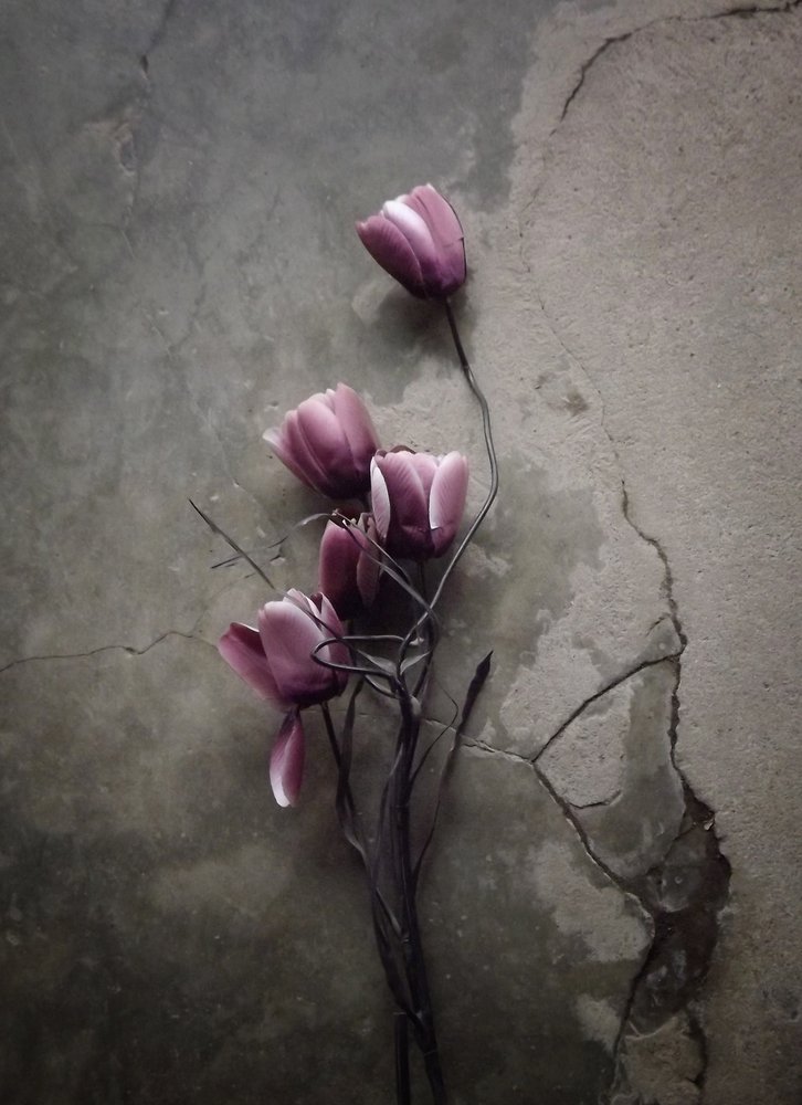 Fleurs de béton mélancoliques - Kahar Lagaa