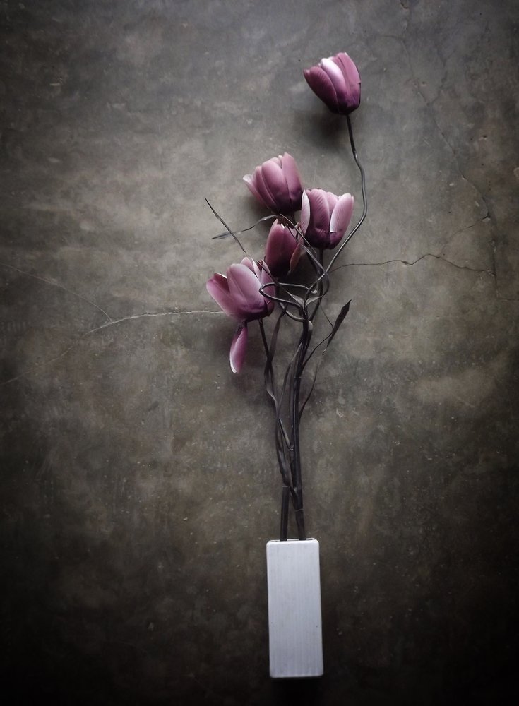 Tulipes violettes mélancoliques - Kahar Lagaa