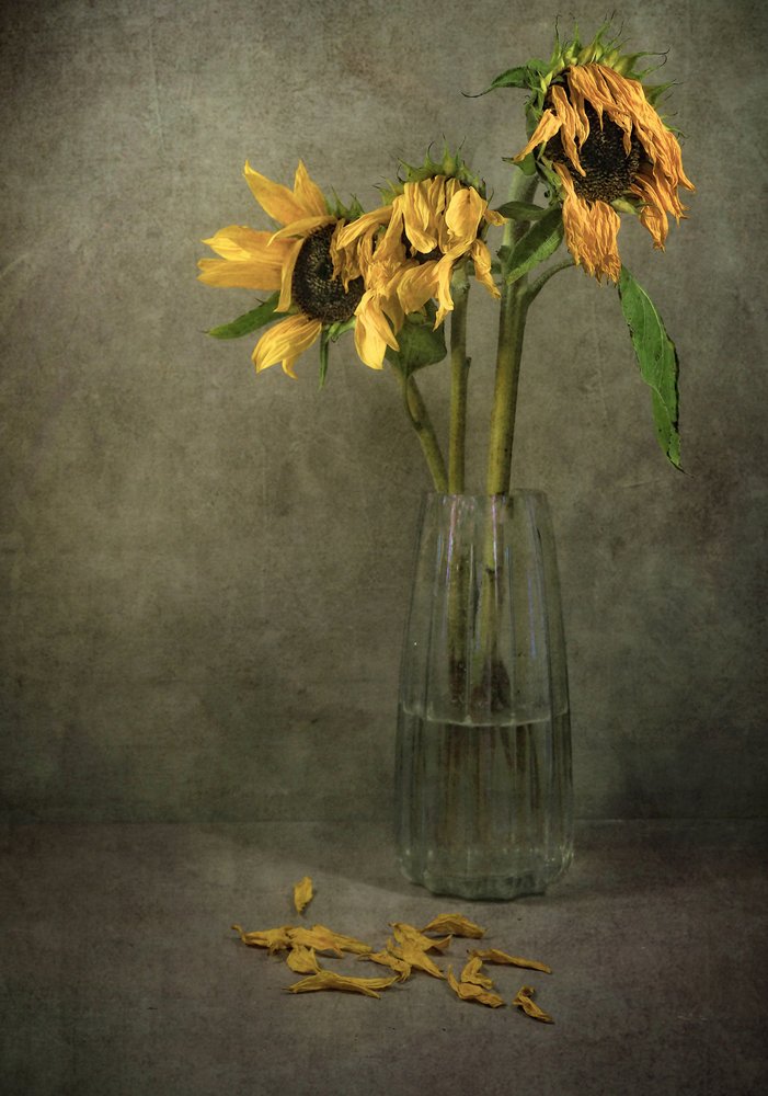 Fleurs de tournesol mélancoliques - Karen Smalley