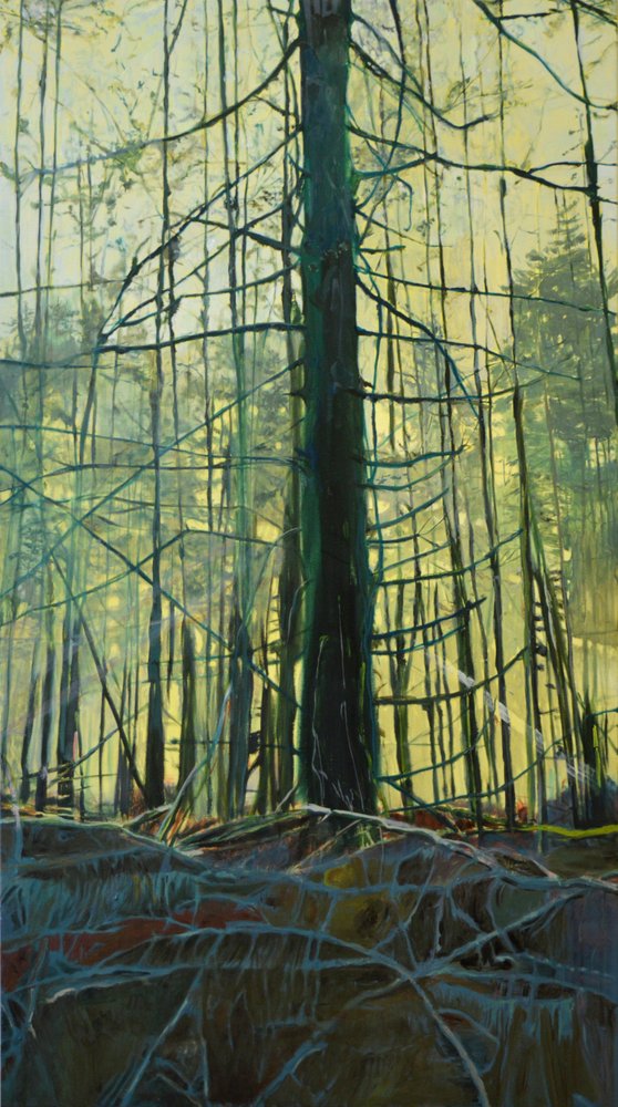 Lumière de la forêt éthérée - Karin Bos