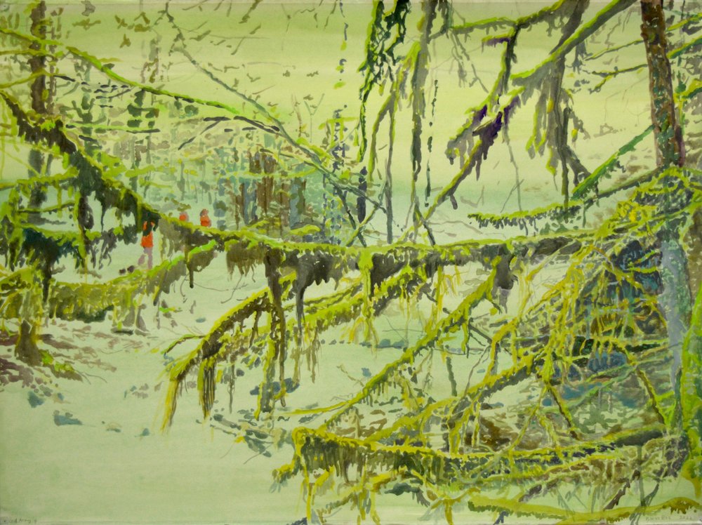 La forêt brumeuse et moussue - Karin Bos