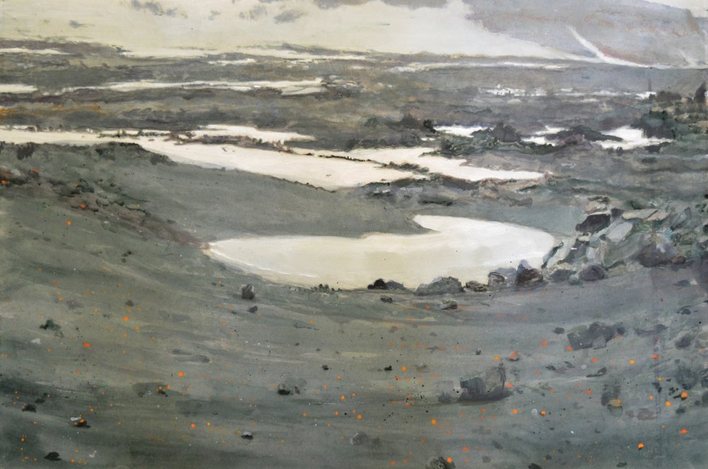 Paysage de la toundra austère - Karin Bos