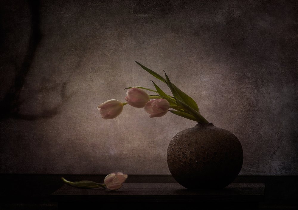 Élégantes tulipes mélancoliques - Katarina Holmström