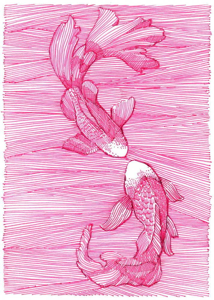 Danse des koïs roses - Katie O'Shea