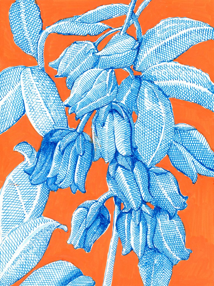 Botaniques bleus éclatants - Katie O'Shea