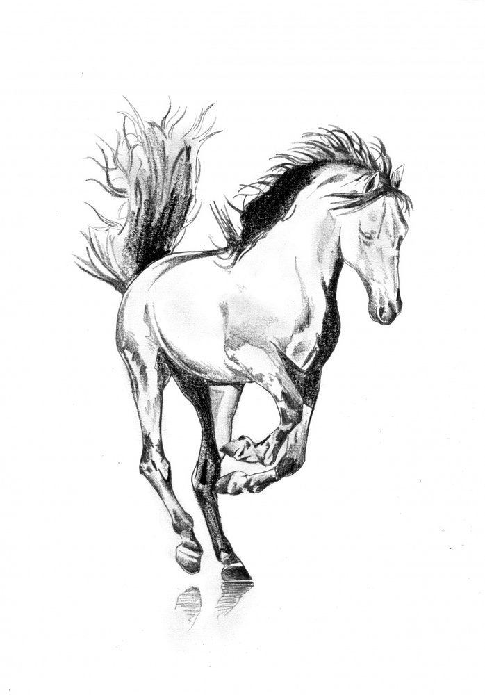  - Kulik