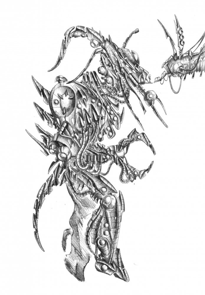  - Kulik