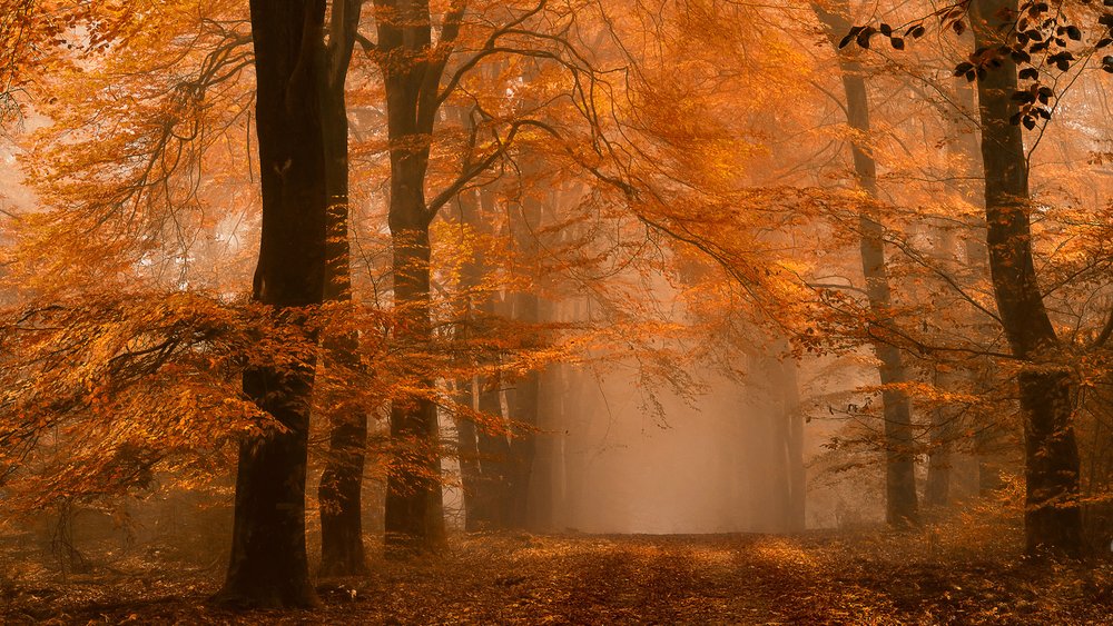  - Lars van de Goor †