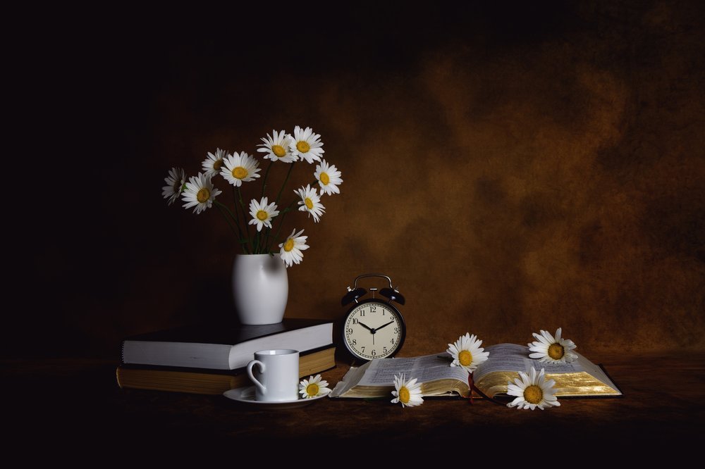 Daisies Books – Paix matinale - Leah Xu