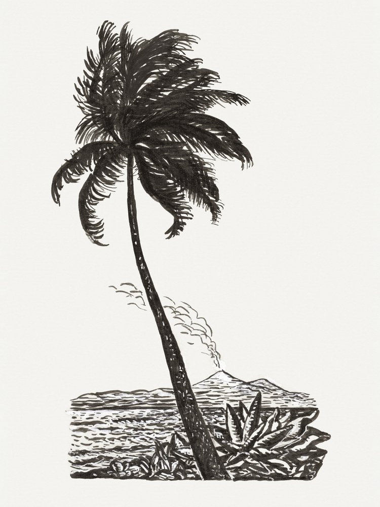 Un palmier et une île (vers 1891–1941) - Leo Gestel