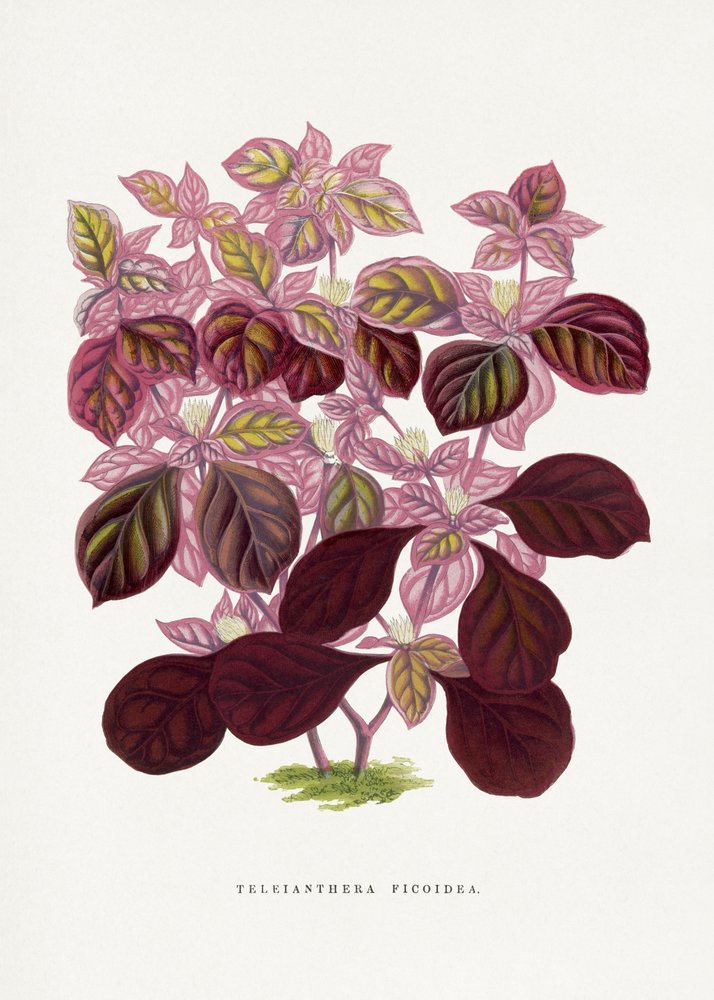 Illustration d