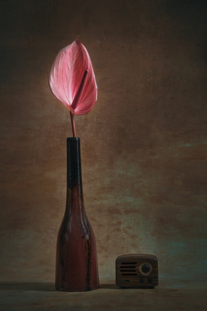 Anthurium et radio élégants - Liu Xing