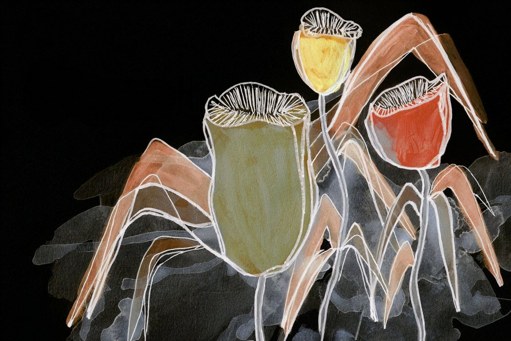 Capsules botaniques sombres - Lori Ann Folz