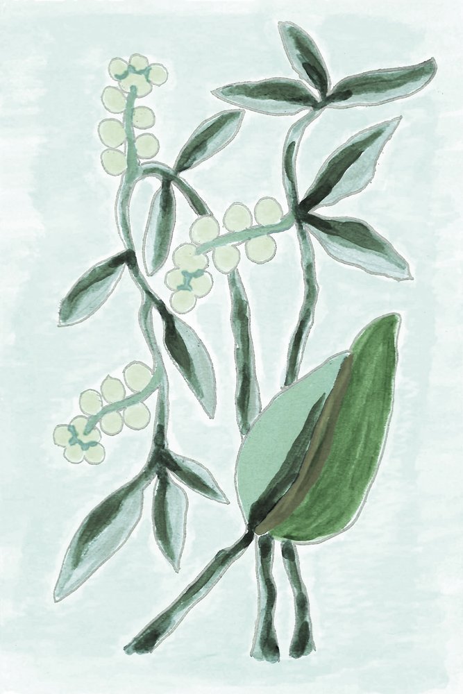 Aquarelle botanique verte - Lori Ann Folz