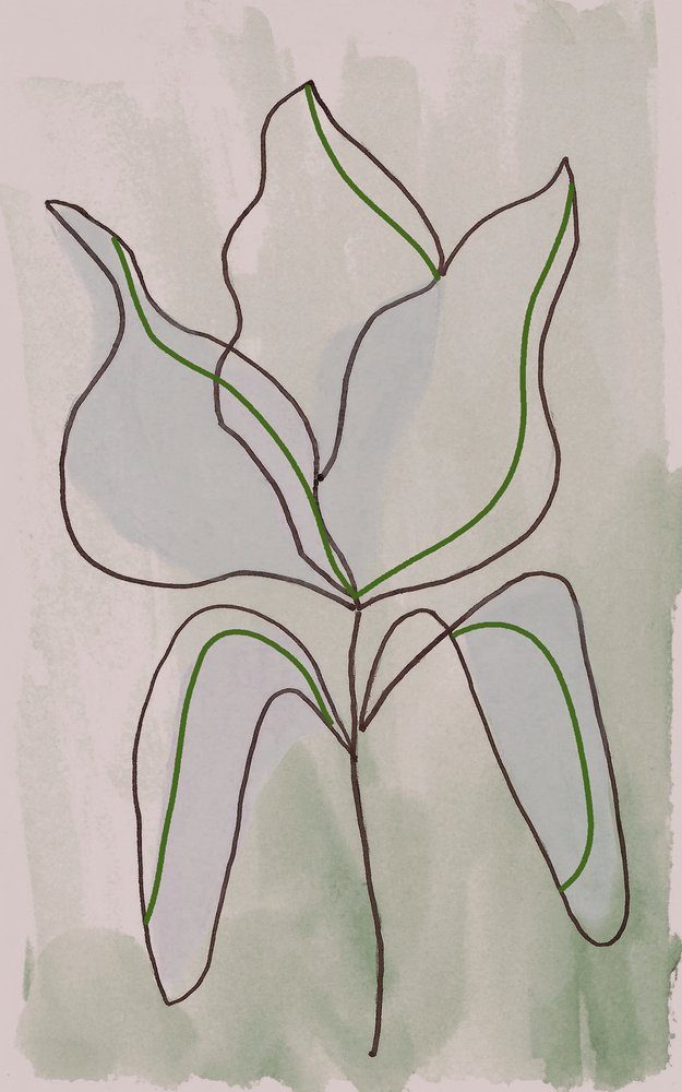 Contour botanique minimaliste - Lori Ann Folz