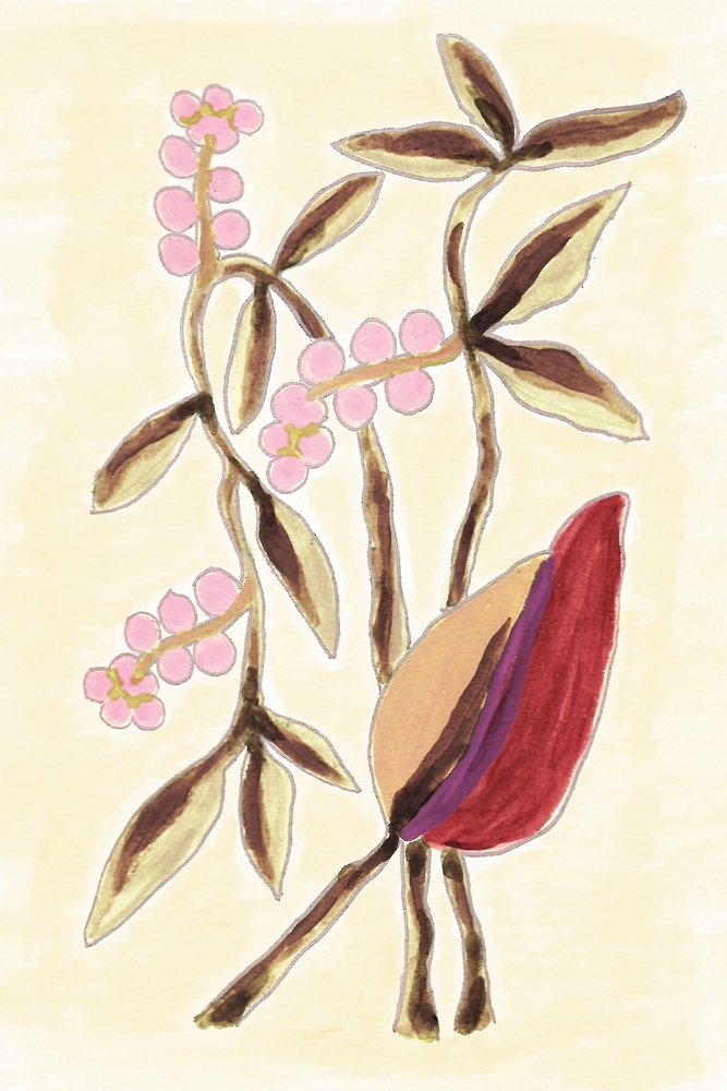 Pink Berry Botanicals - Lori Ann Folz