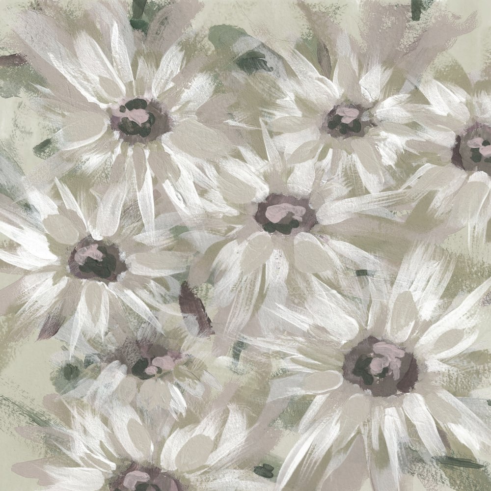 Fleurs de marguerite délicates - Lori Ann Folz