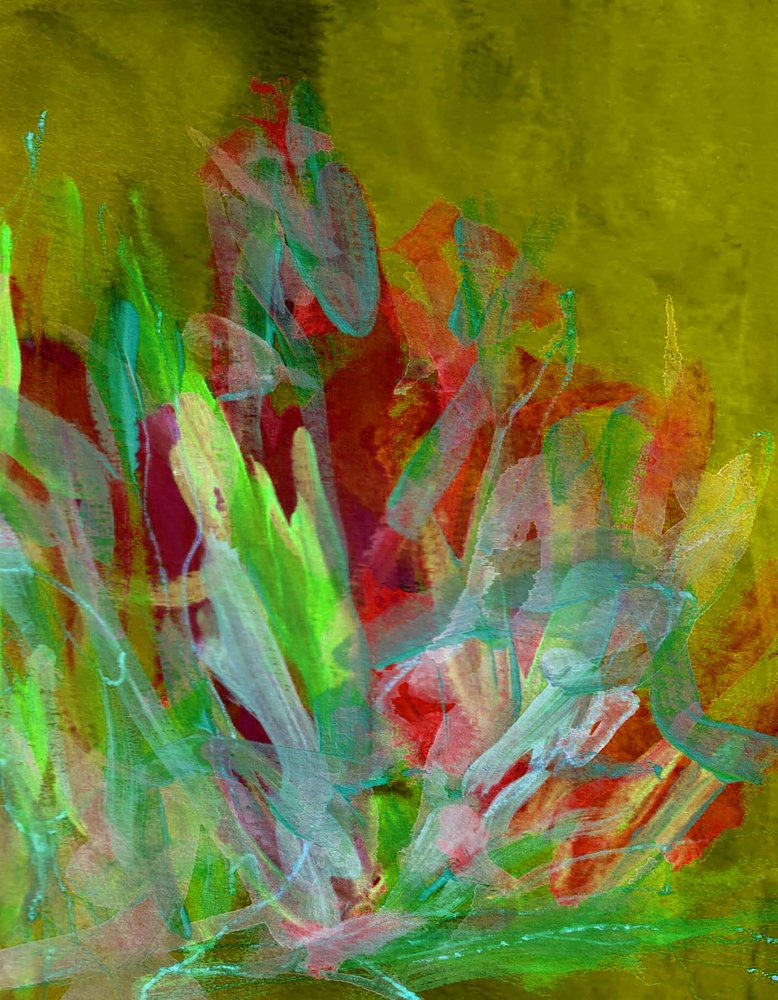  - Lori Ann Folz