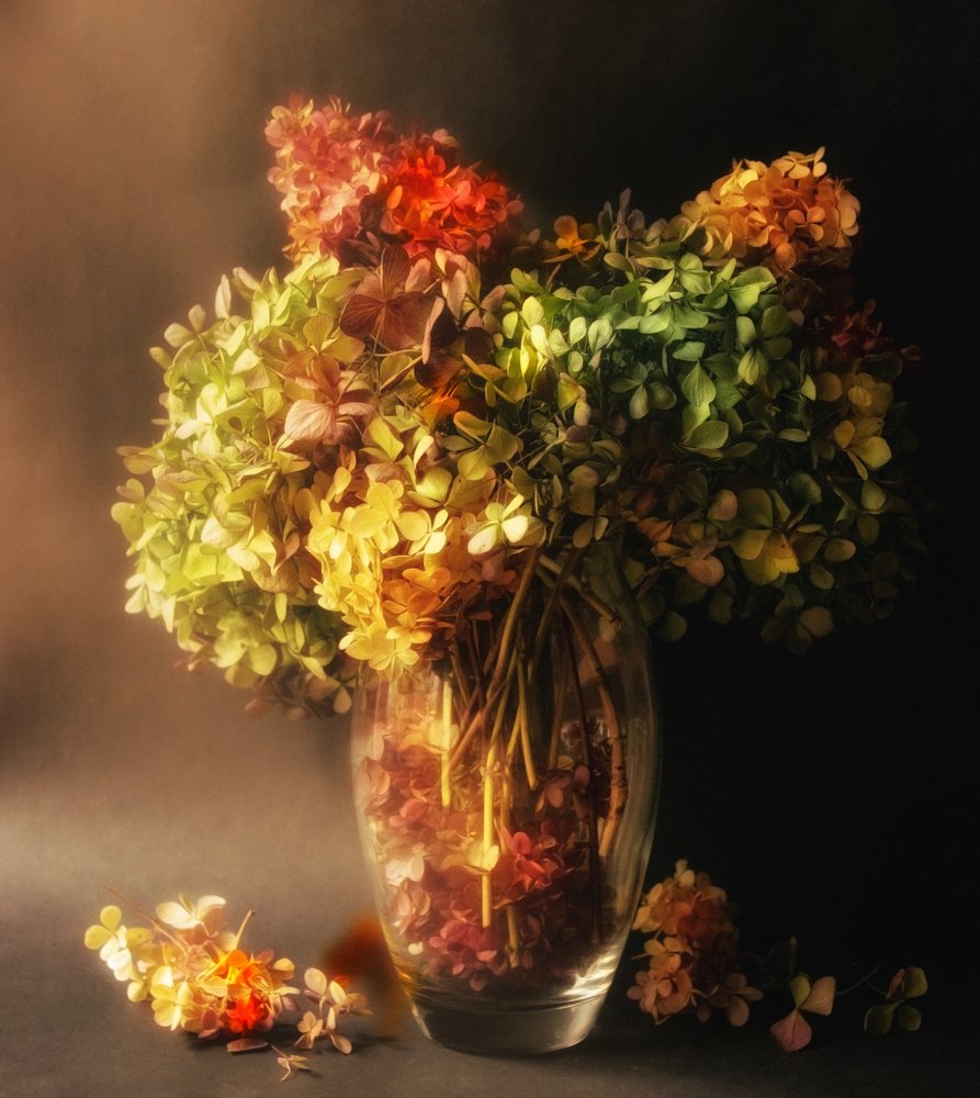 Nature morte aux hortensias fanés - Ludmila Shumilova