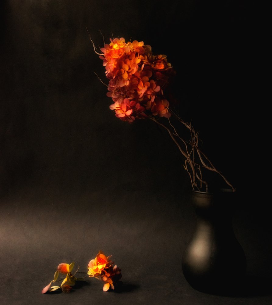 Fleurs d