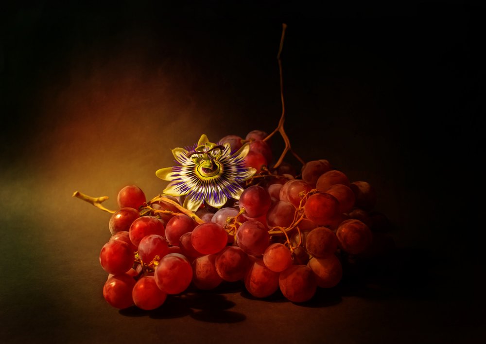 Raisins luxuriants et fleur de la passion - Ludmila Shumilova