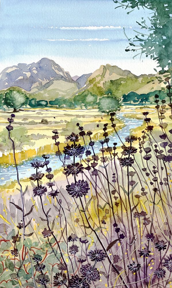 Fleurs sauvages des rivières de montagne - Luisa Millicent