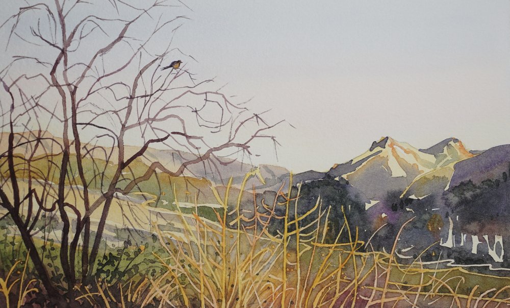 Vallée sereine des montagnes - Luisa Millicent