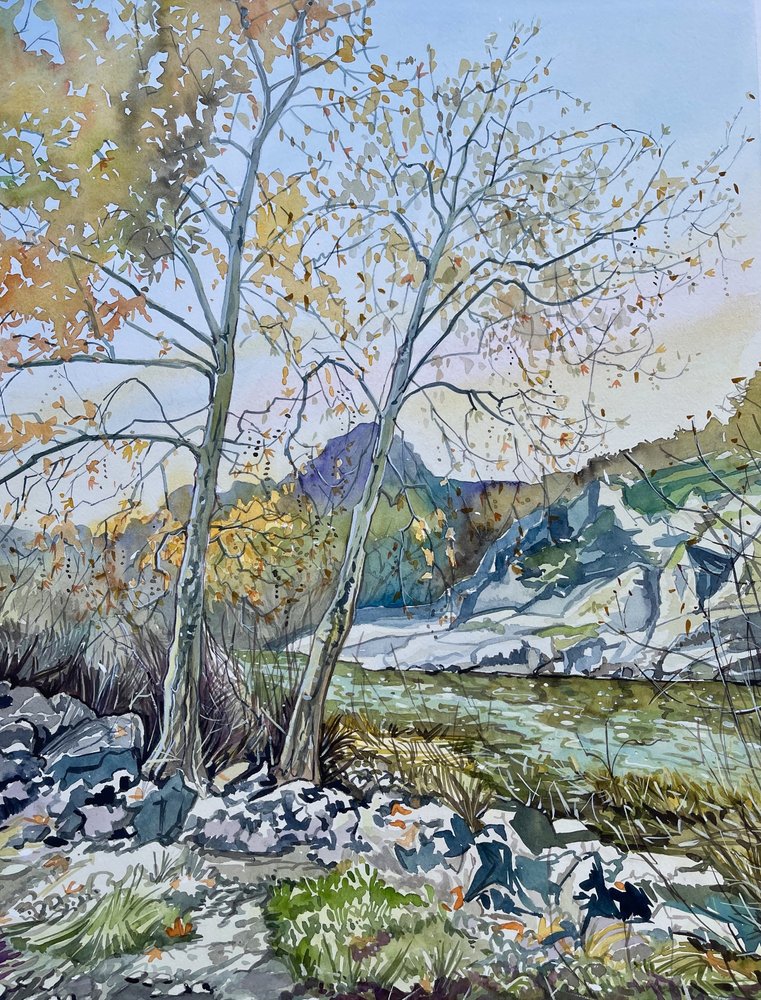 Une rivière paisible en automne - Luisa Millicent