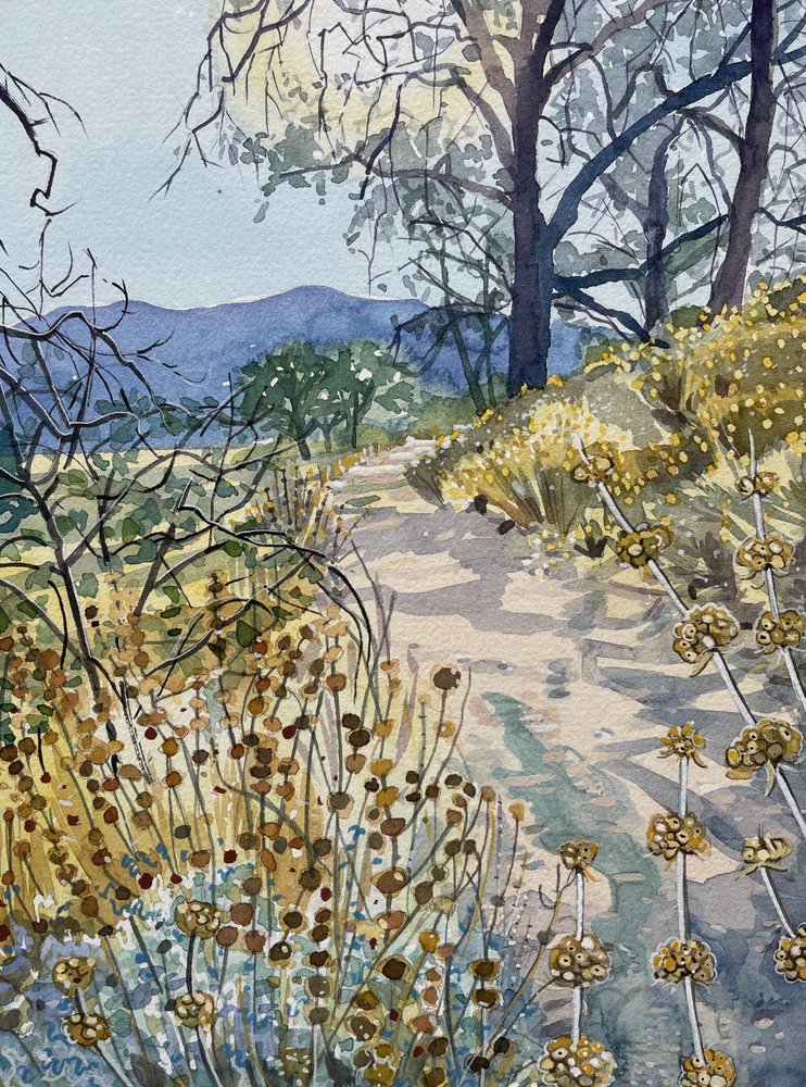 Sentier de la nature au calme - Luisa Millicent