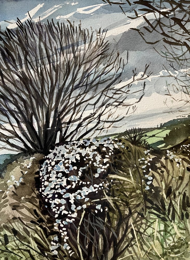 Fleurs champêtres en hiver - Luisa Millicent