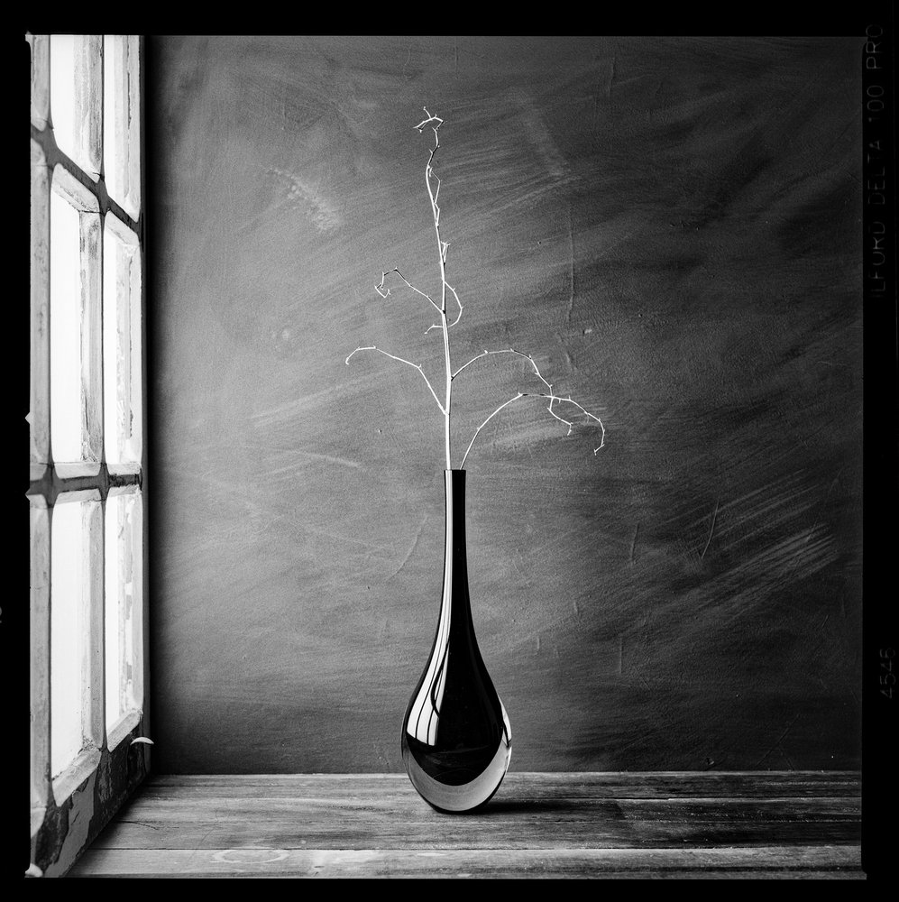 Vase minimaliste en forme de branche - Luiz Laercio