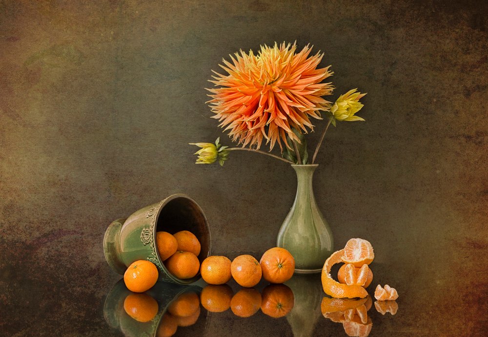 Dahlia d