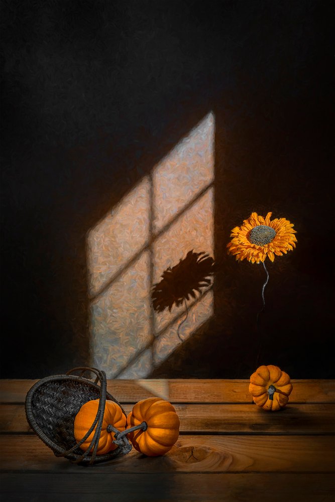 Citrouilles d
