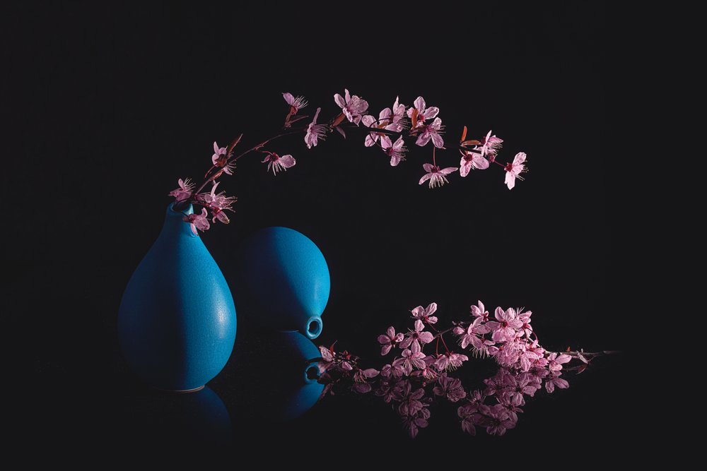 Fleurs de cerisier dans des vases bleus - Lydia Jacobs